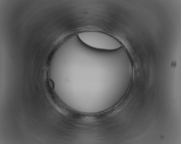X0000096630157200802050942