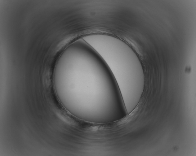 X0000096630158200802050942