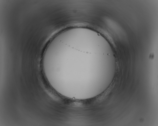 X0000096630159200802050942
