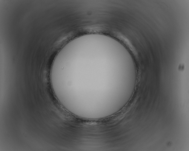 X0000096630161200802050942