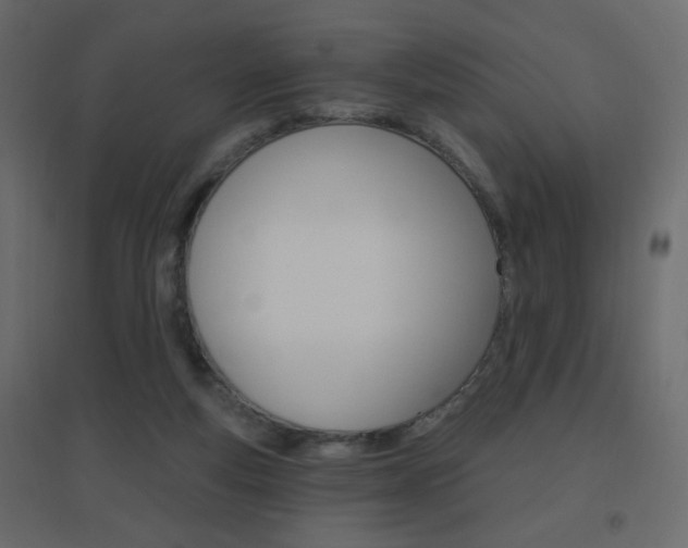 X0000096630163200802050942