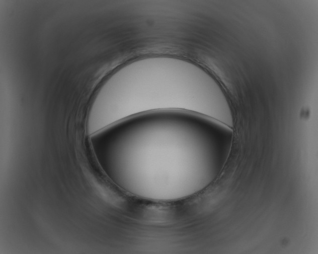 X0000096630164200802050942