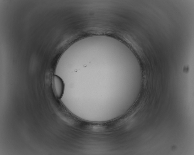 X0000096630165200802050942