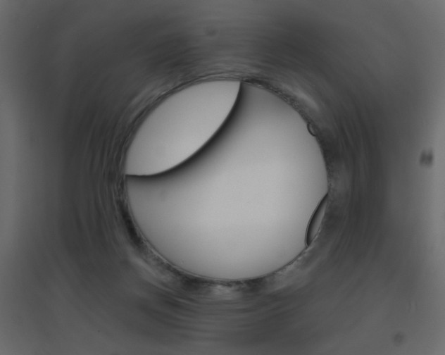 X0000096630166200802050942
