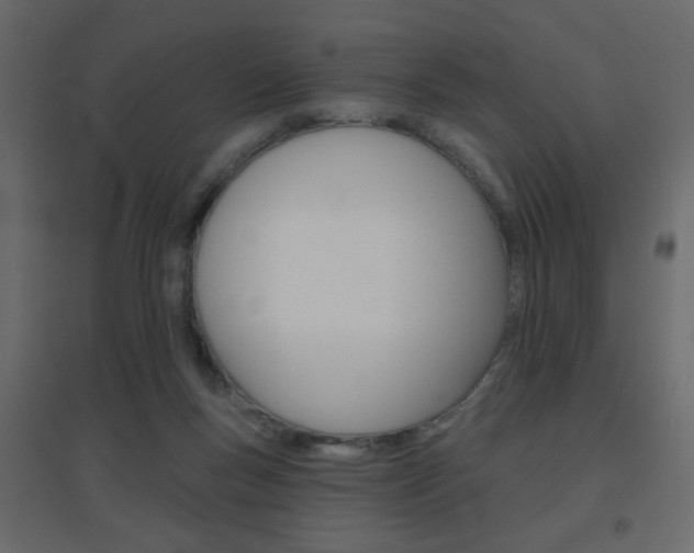 X0000096630167200802050943