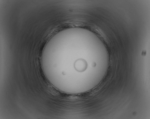 X0000096630169200802050943