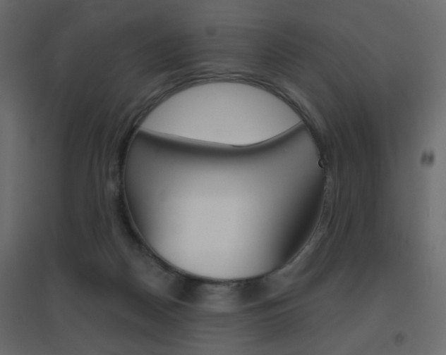 X0000096630170200802050943