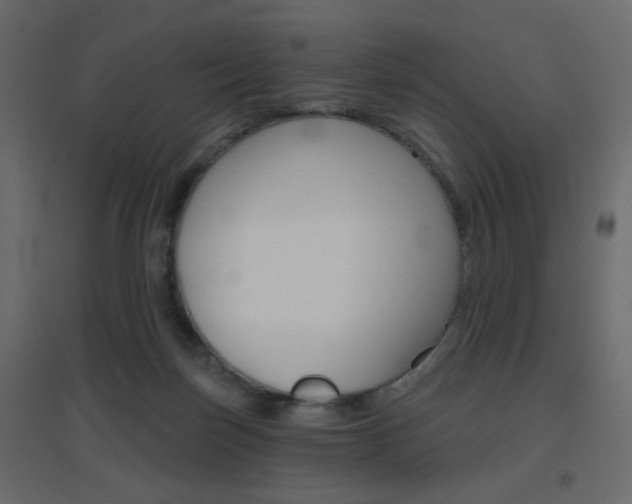 X0000096630171200802050943