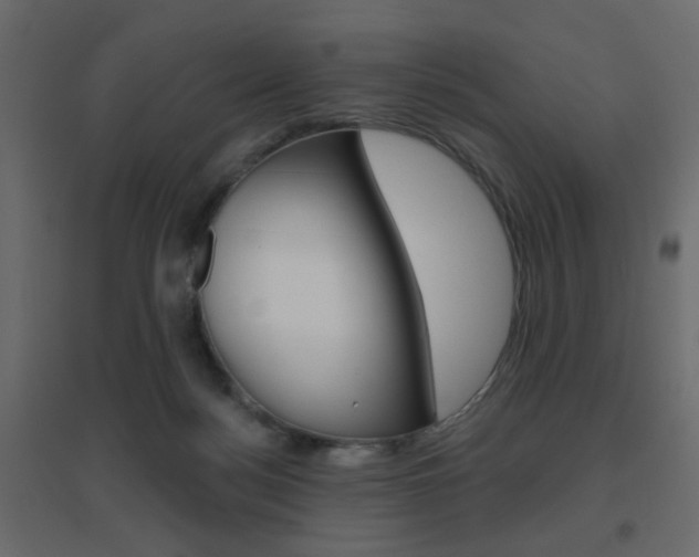 X0000096630172200802050943