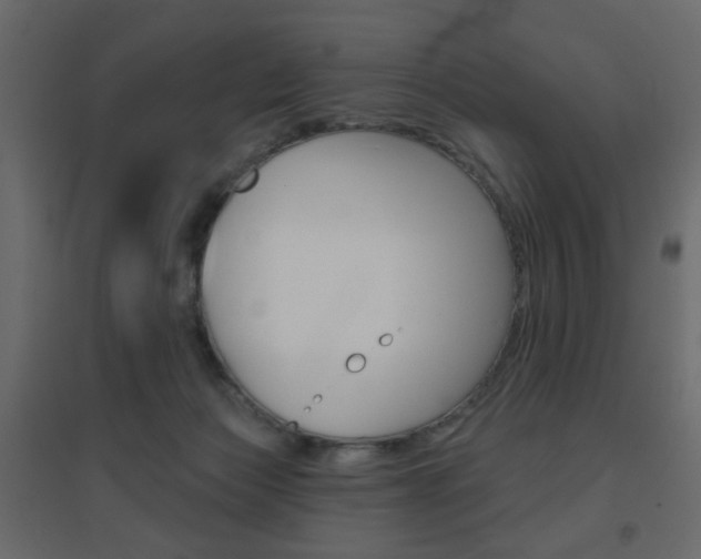X0000096630173200802050943