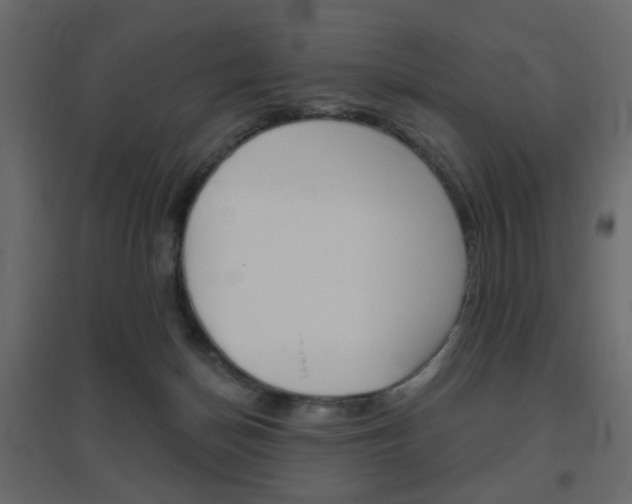 X0000096630174200802050943