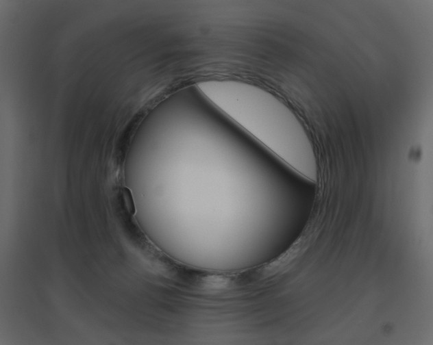 X0000096630176200802050943