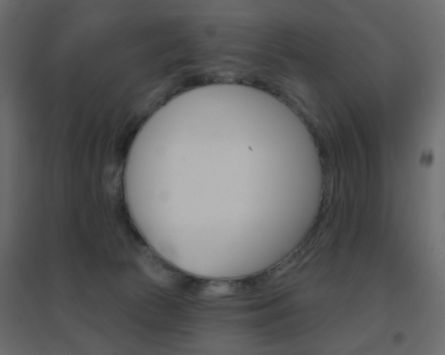 X0000096630177200802050943