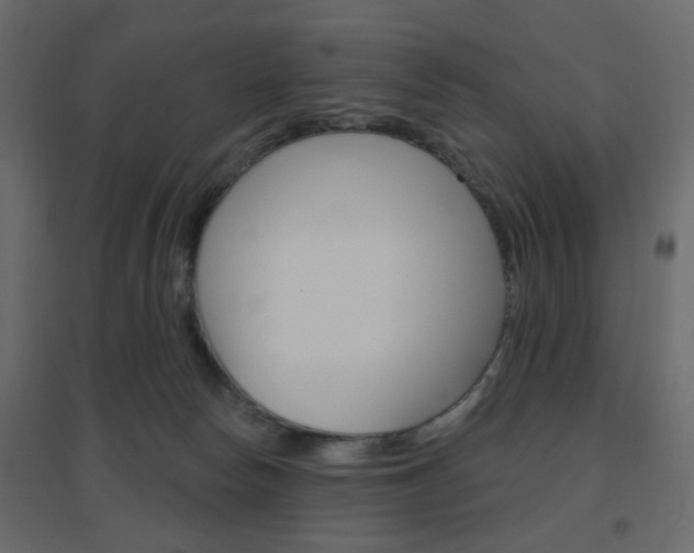 X0000096630178200802050943