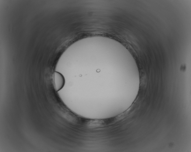X0000096630179200802050943