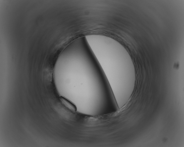X0000096630180200802050943