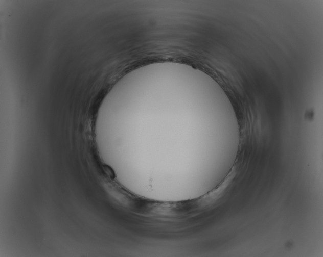 X0000096630182200802050943