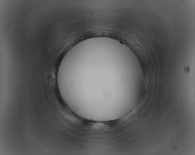 X0000096630183200802050943