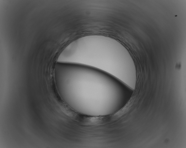 X0000096630184200802050943