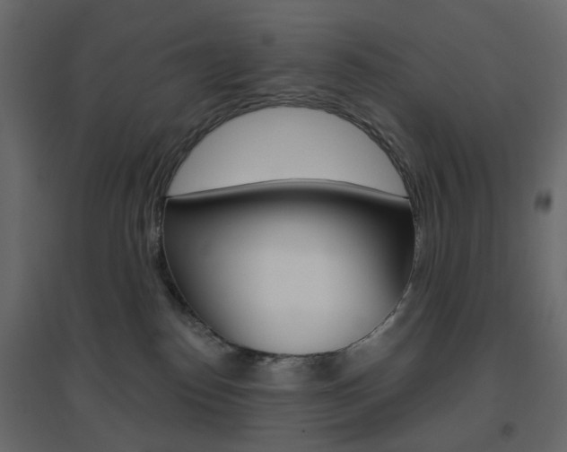 X0000096630186200802050943