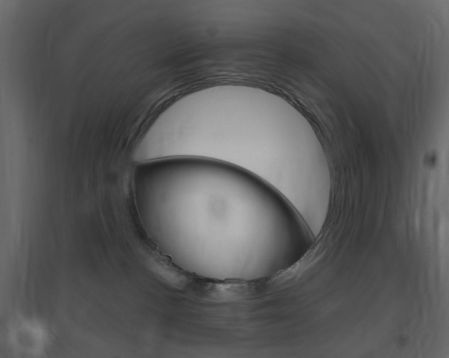 X0000096630188200802050943