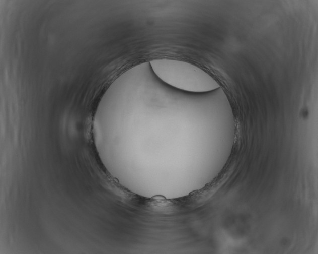X0000096630189200802050943