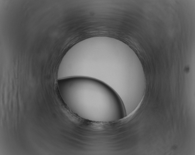 X0000096630190200802050943