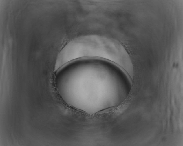 X0000096630192200802050943