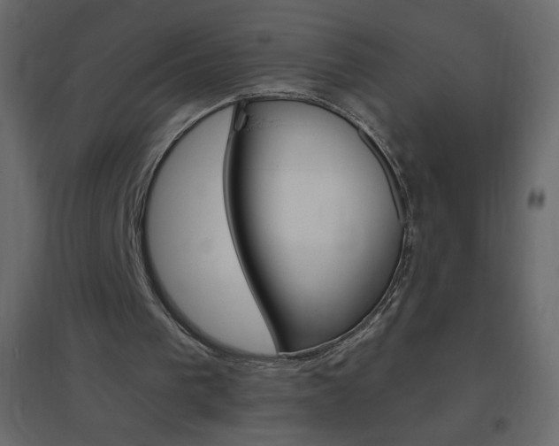 X0000096630193200802050942