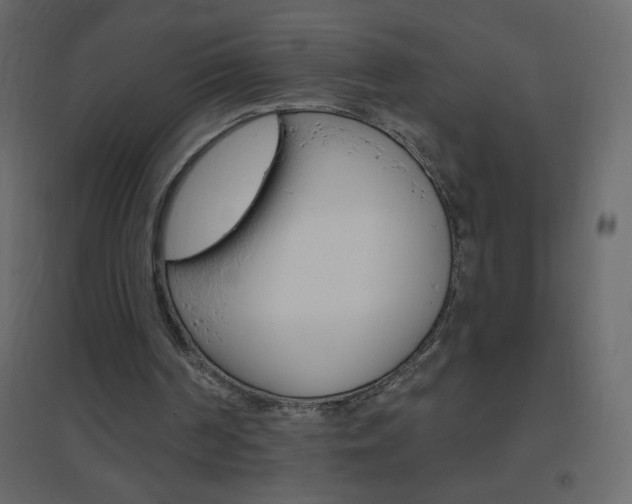 X0000096630194200802050942