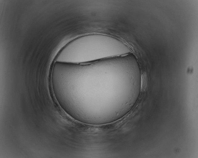 X0000096630195200802050942