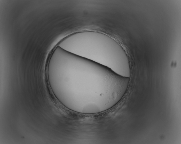 X0000096630196200802050942