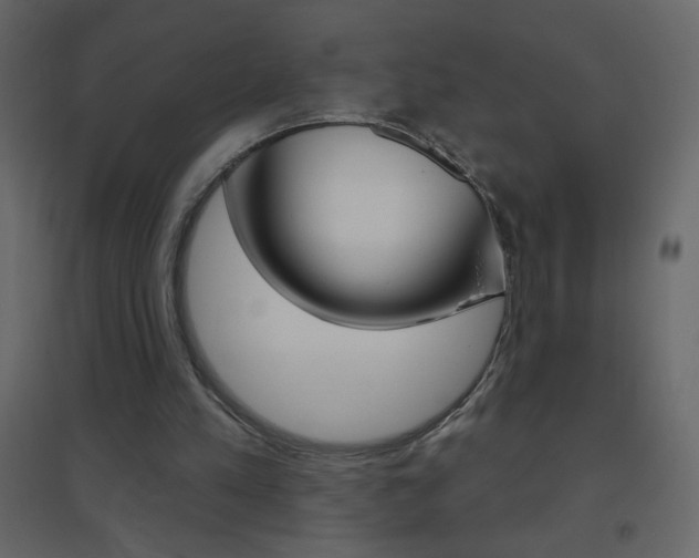 X0000096630197200802050942