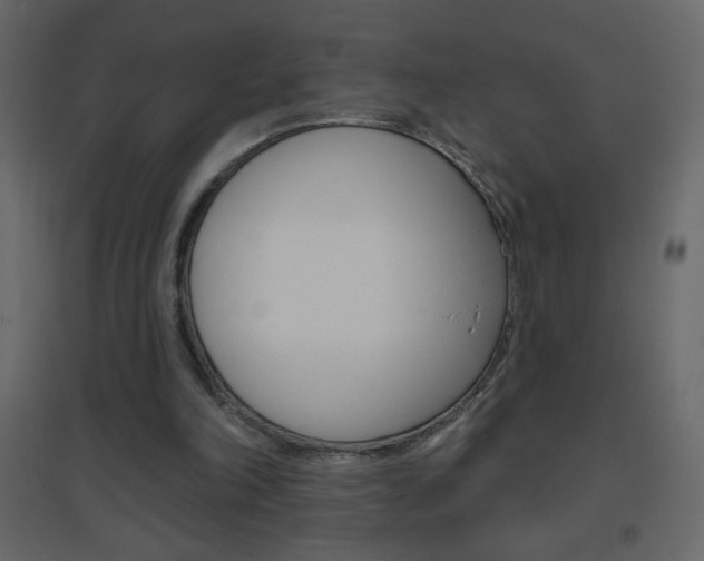 X0000096630198200802050942