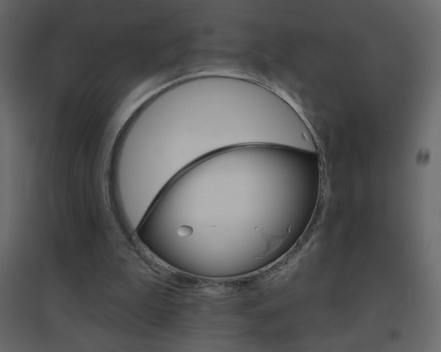 X0000096630199200802050942