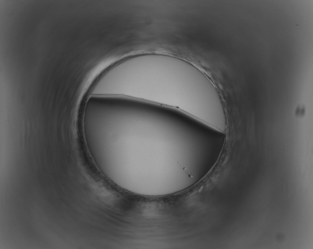 X0000096630200200802050942