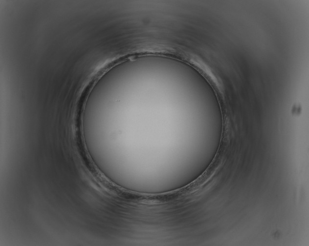 X0000096630203200802050942