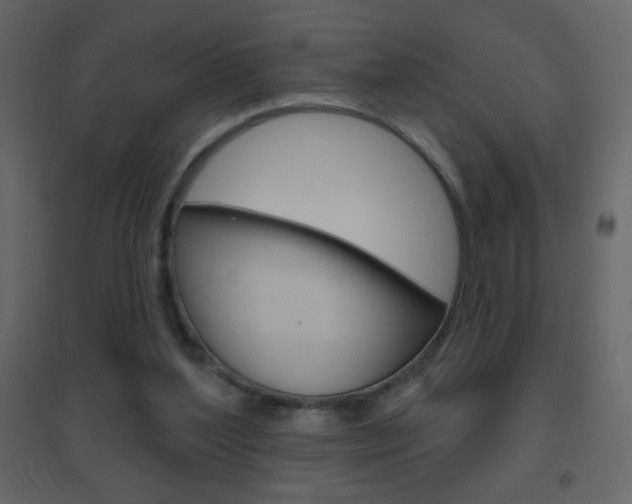 X0000096630204200802050942