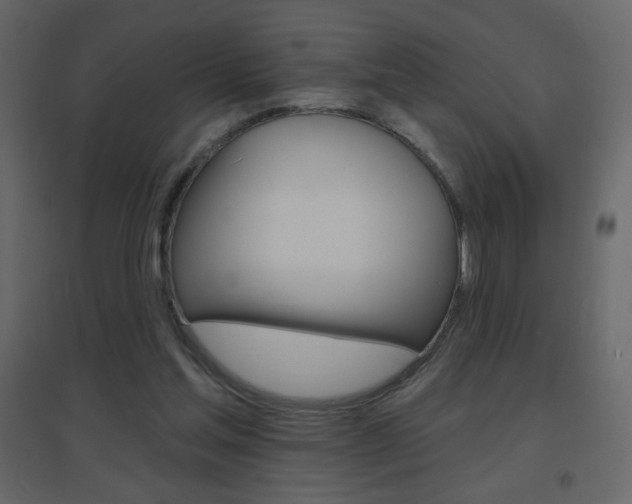 X0000096630205200802050942