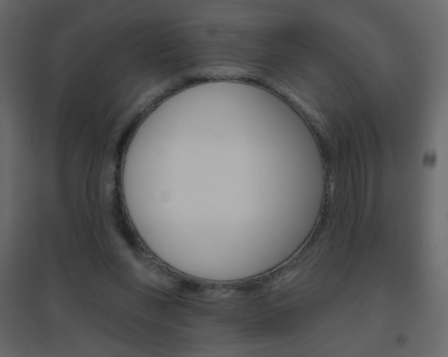 X0000096630206200802050942