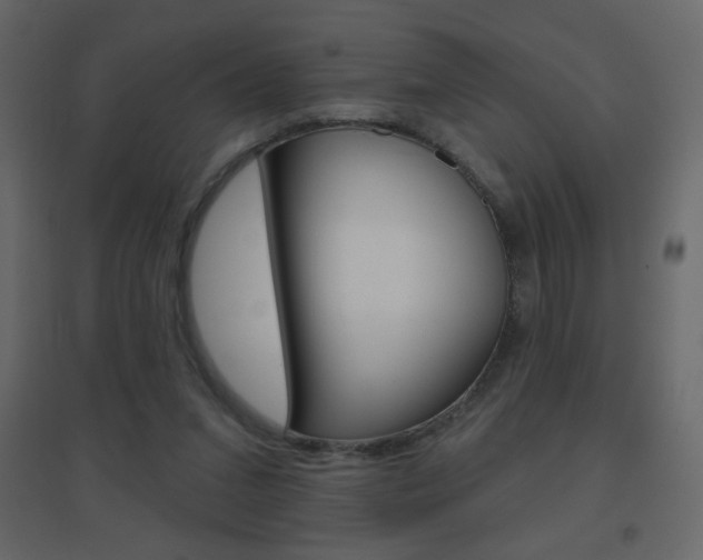 X0000096630207200802050942