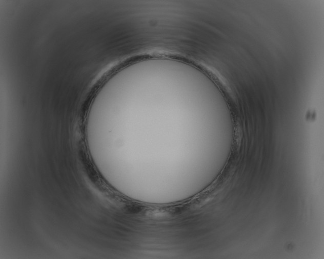X0000096630208200802050942