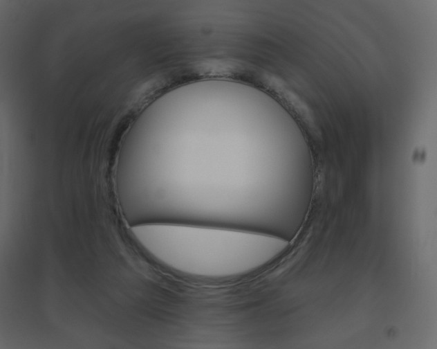 X0000096630209200802050942