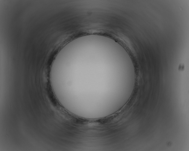 X0000096630210200802050942