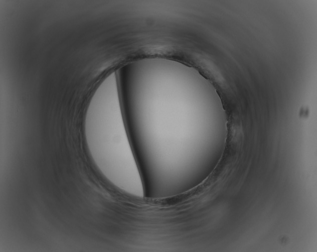X0000096630211200802050942