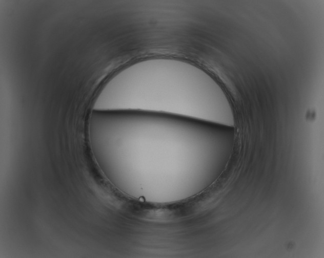 X0000096630212200802050942