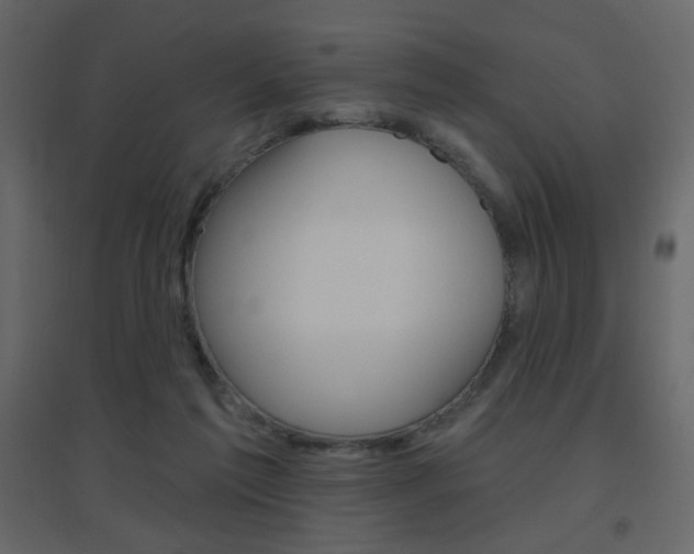 X0000096630213200802050942