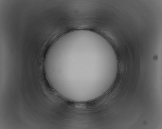 X0000096630214200802050942
