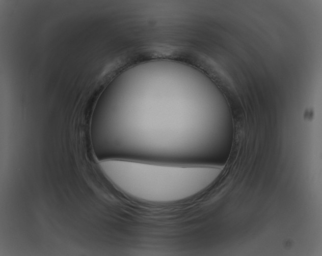 X0000096630215200802050942