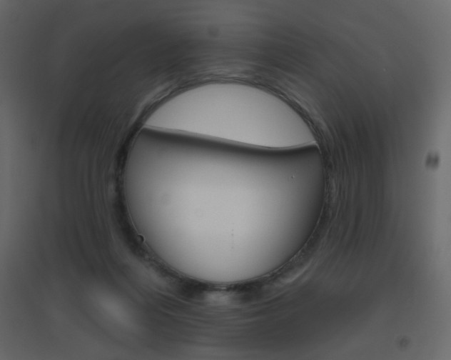 X0000096630216200802050942